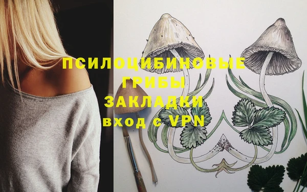 эйфоретик Абаза